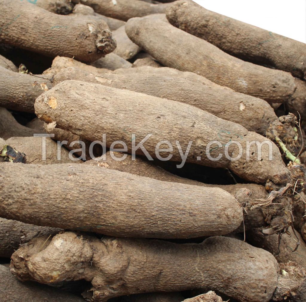 Premium Quality African Yam Tubers