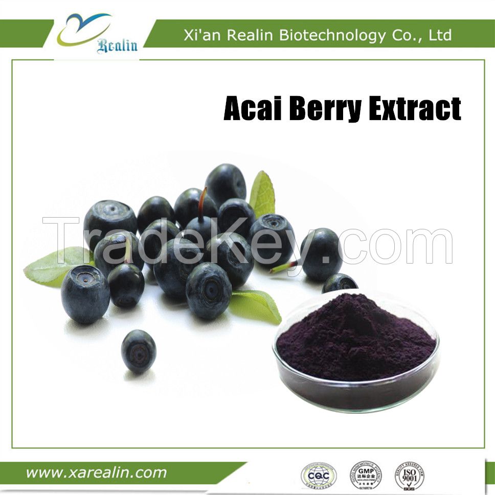 Spray Dried Fruit Powder Freeze Dry Acai berry Powder powerful Antioxidant powder Acai Berry Extract