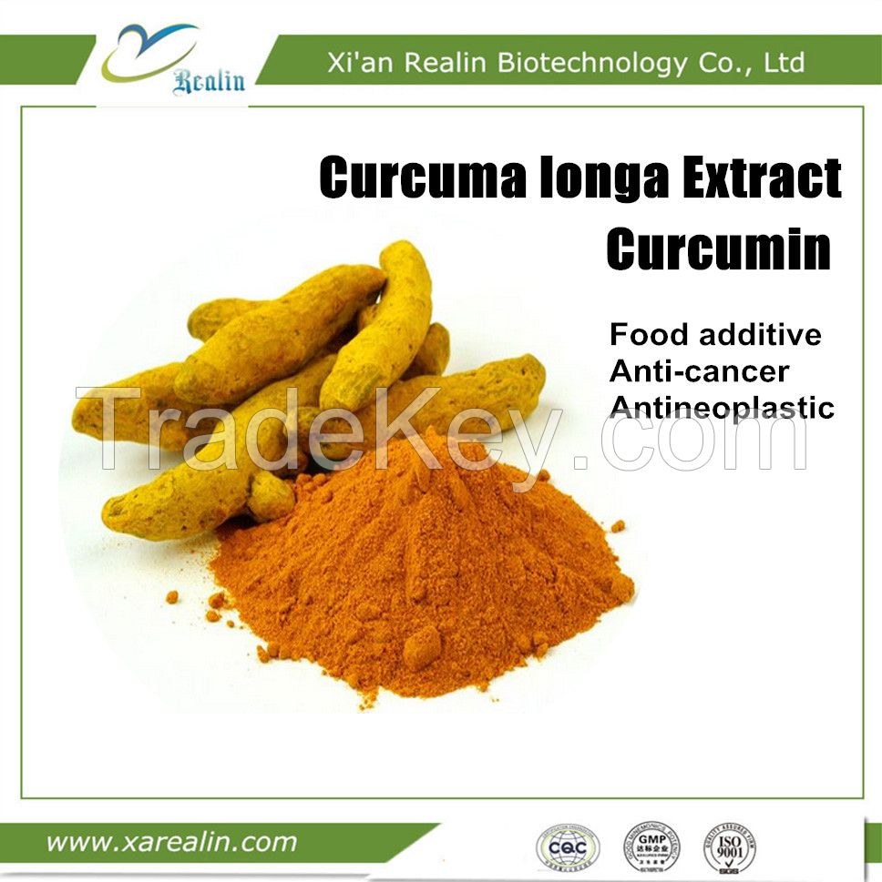 Good Quality Natural Plant Extract Curcuma Longa Extract 95% Curcumin Powder for food additive Curcumin Capsules 