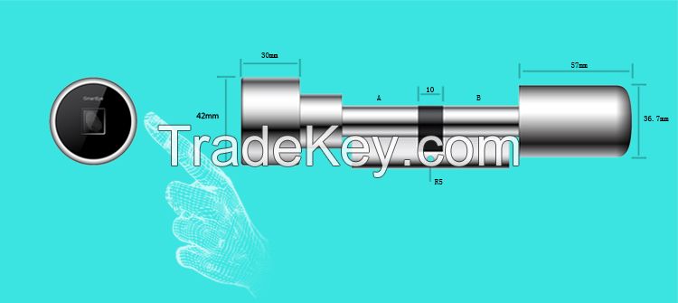 Fingerprint Lock--L3 Cylinder Fingerprint Remoter and Mobile Door