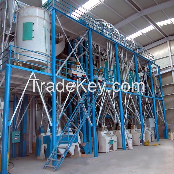 50mt per day wheat flour processing machine