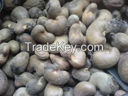 Raw Cashew Nuts