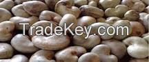 Raw Cashew Nuts