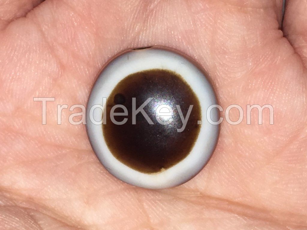 Wholesale Jewelry Luk Mik Tabular Beads Goat&#039;s Eye