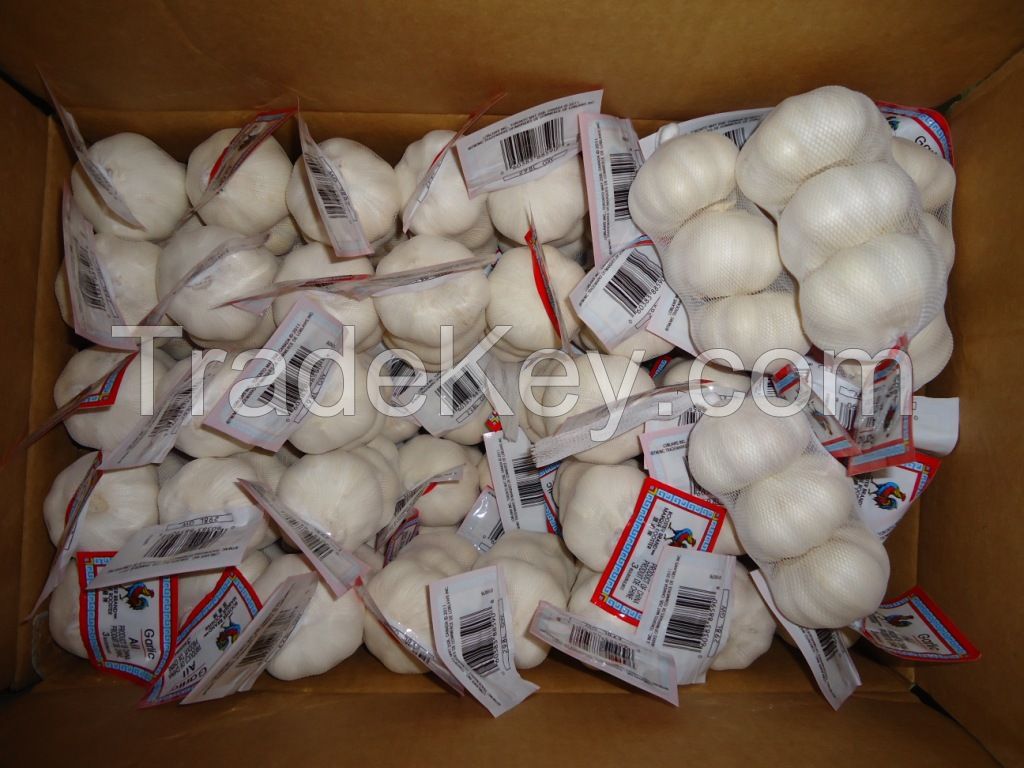 2016 new fresh white garlic at cheap price