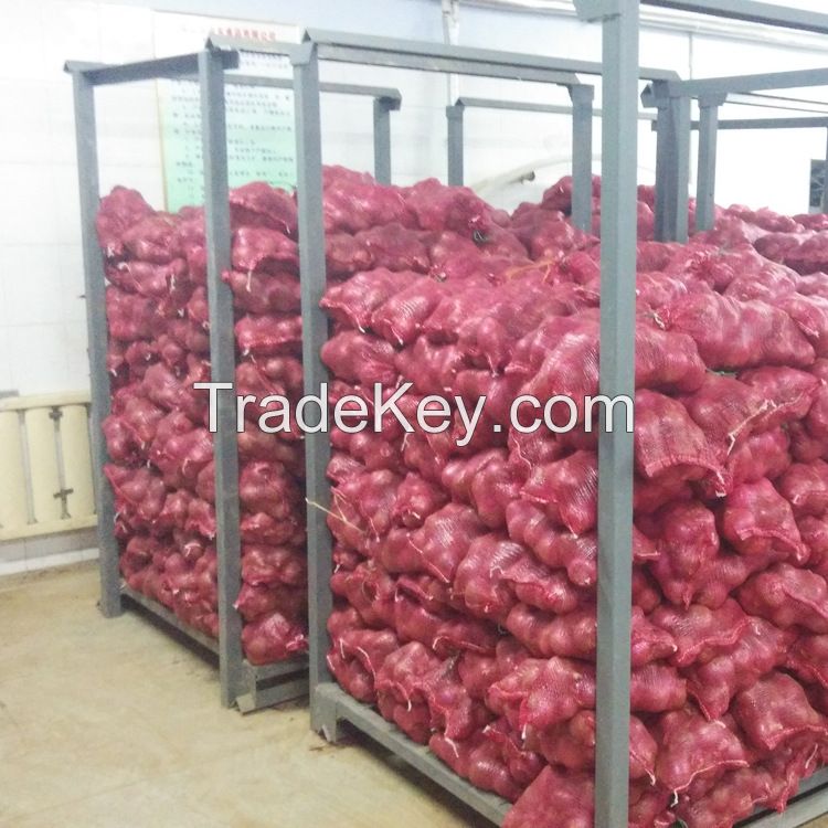 2016 new fresh  red onion at cheap price