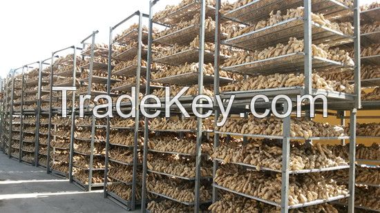 2016 new air dried  ginger at cheap price