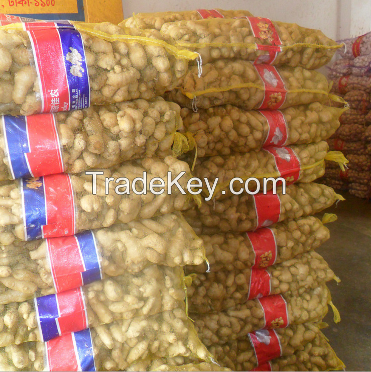 2016 new air dried  ginger at cheap price