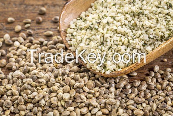 Raw Organic Wholesale Hemp Oil