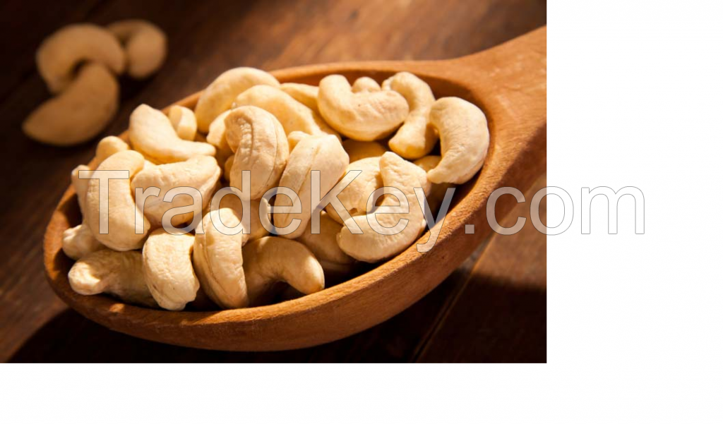 Cashew Nuts