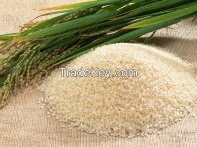 Vietnam Long Grain White Rice (Basmati & Non Basmati)