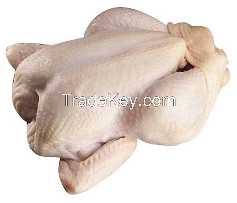 &acirc;Quality Halal Whole Frozen Chicken 