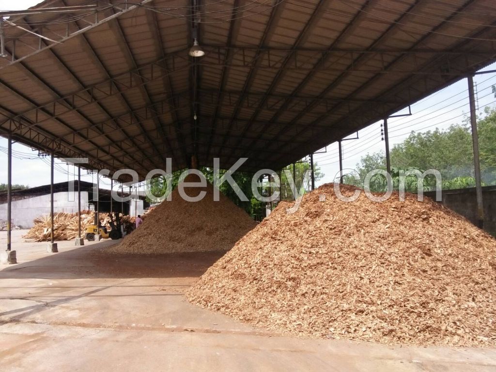 Rubber  wood  chips