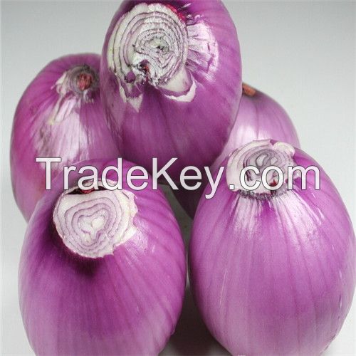 Red Onions