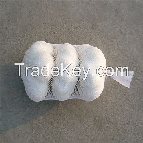 Hot sell  Garlic in Mesh Bags