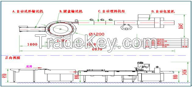 Disc Type Automatic Packing Line