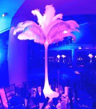 led feather acrylic centerpiece