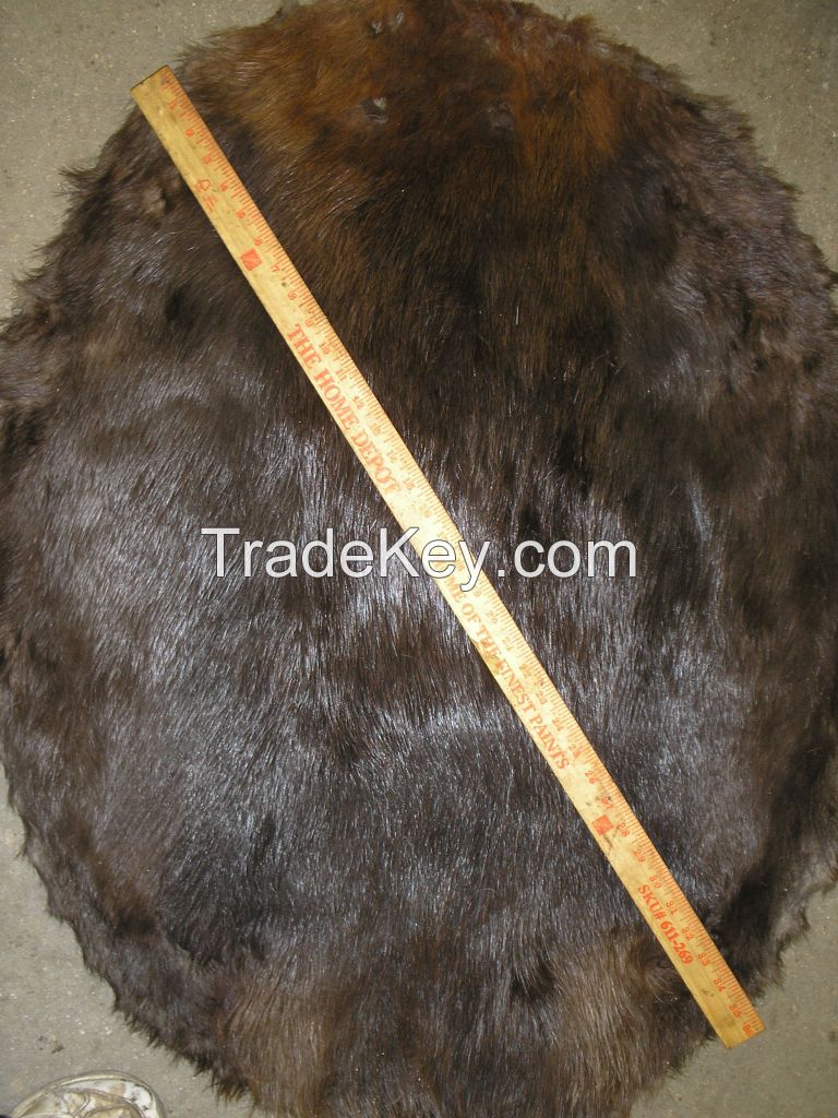 RAW BEAVER FUR - DARKS &amp; PALES ALL SIZES - BLANKETS - SM - MED - MED/LG - LG - XL