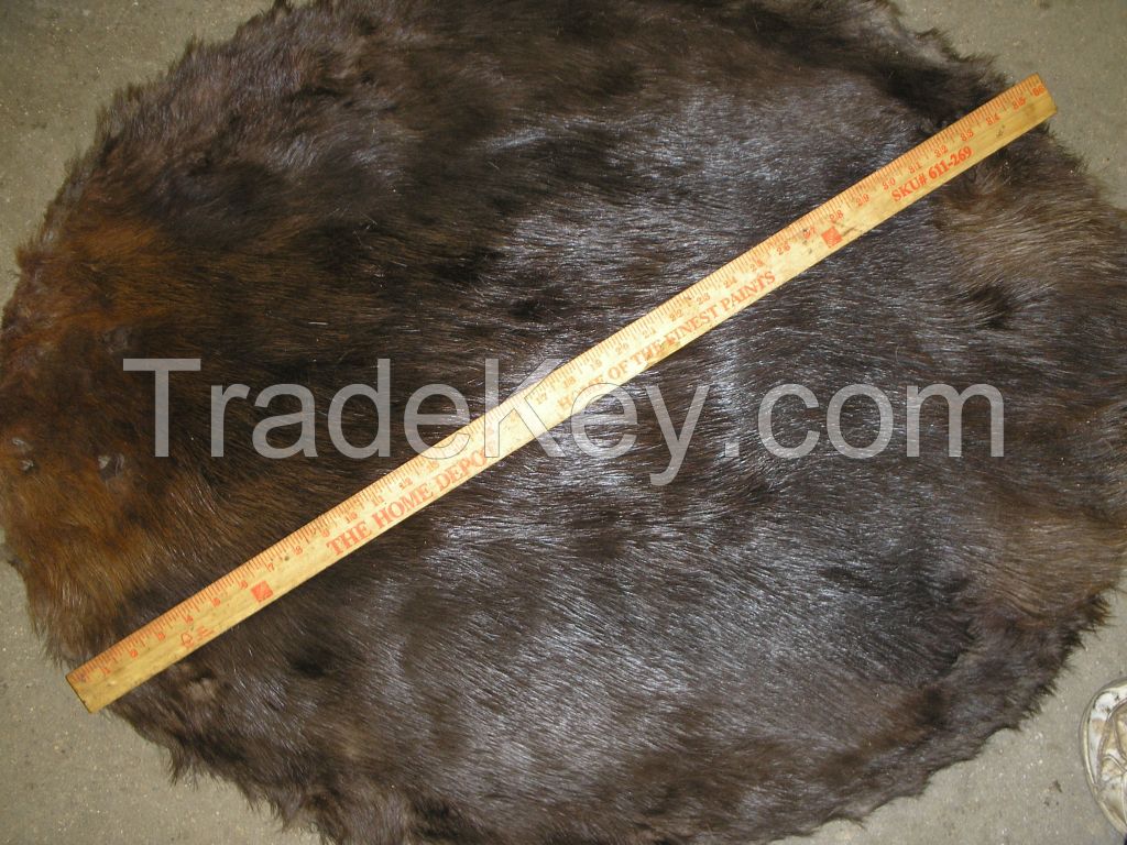 RAW BEAVER FUR - DARKS &amp;amp; PALES ALL SIZES - BLANKETS - SM - MED - MED/LG - LG - XL