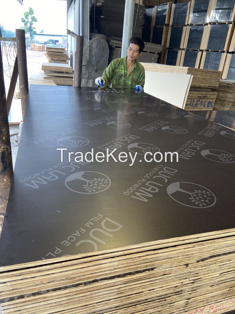 Construction Grade Waterproof Sheet 18mm Film Faced Plywood