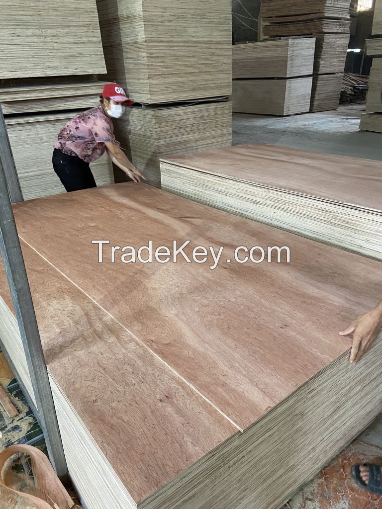 Bintangor face Commercial plywood for making sofa