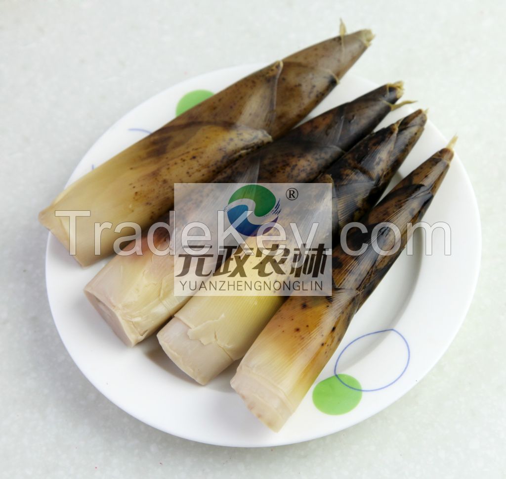 Edible Organic Canned Bamboo Shoot