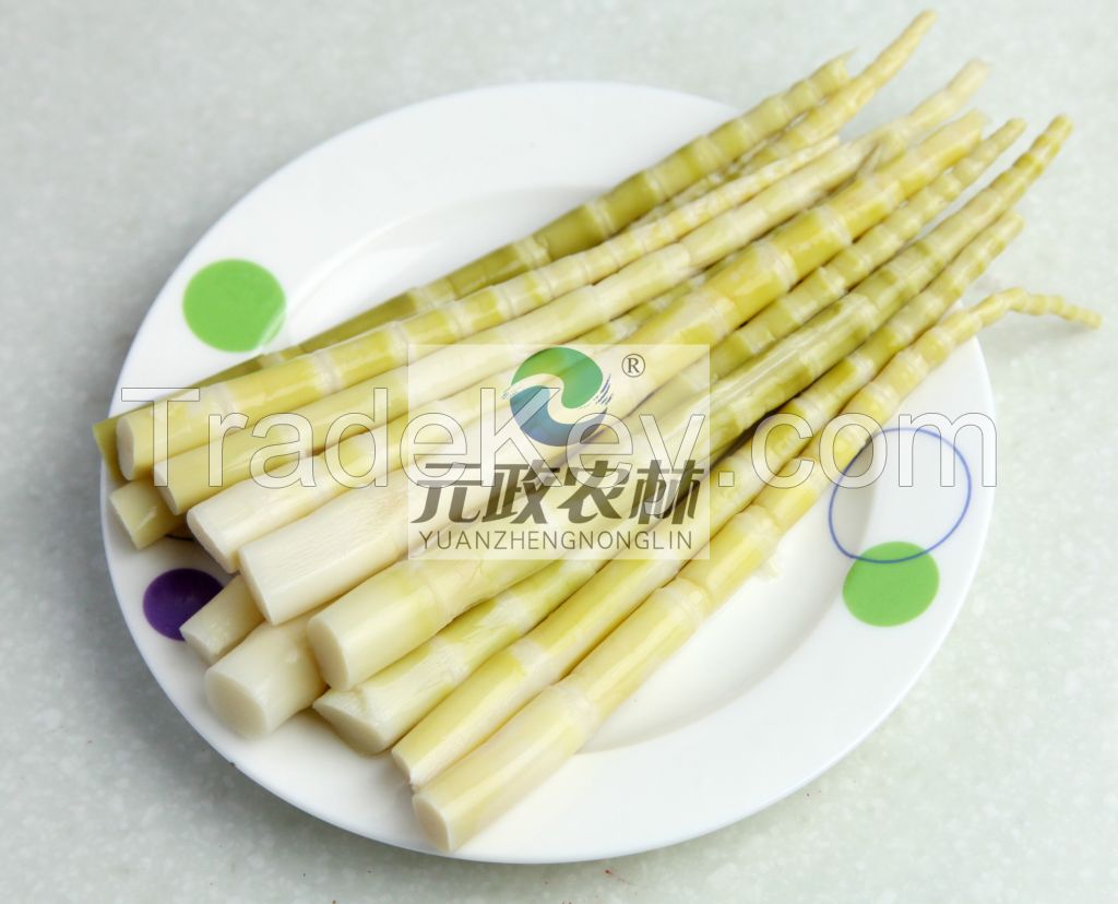 Edible Organic Canned Bamboo Shoot