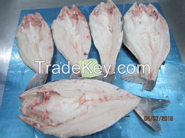 SHOCK PRICE FOR VIETNAM PANGASIUS