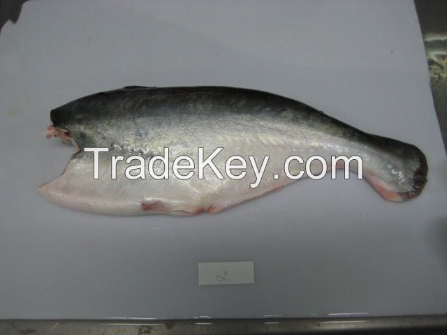 SHOCK PRICE FOR VIETNAM PANGASIUS