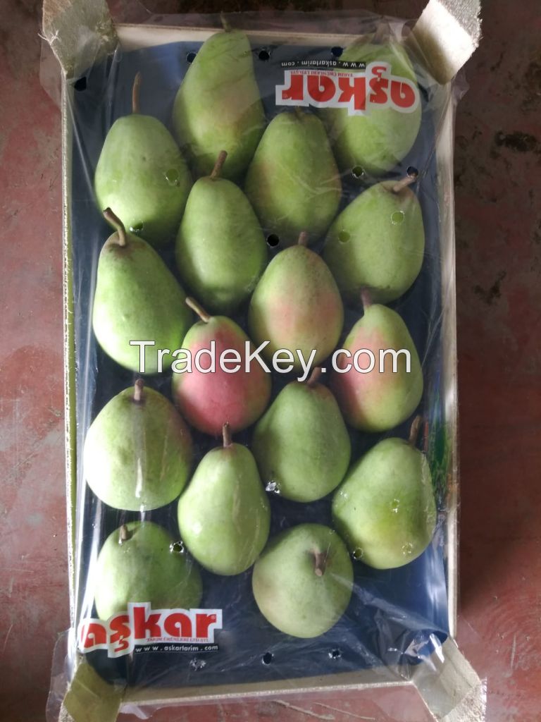 Santa Maria pears