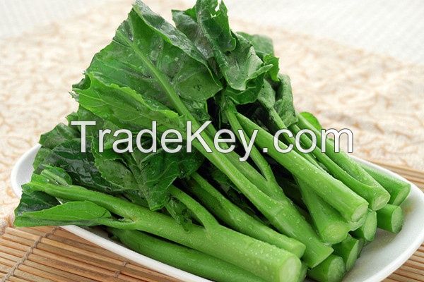 Hot Sale Natural Fresh Kale