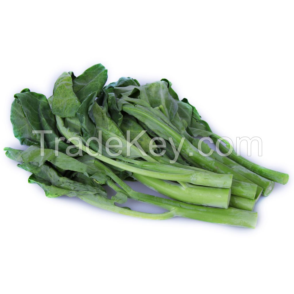 Wholesale Natural Fresh Kale