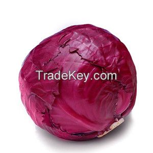 Hot Sale Natural Fresh Purple Cabbage