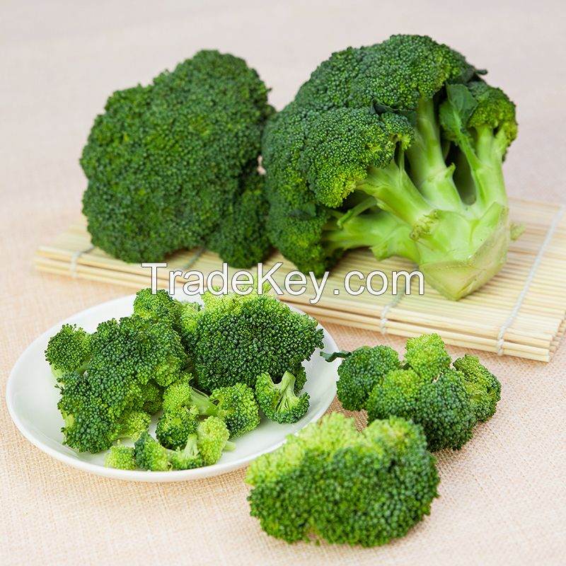 Natural Fresh Broccoli -High Quality