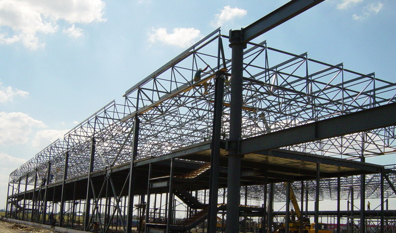 Steel Space Frame &amp; Steel Structure