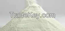 Skimmed Milk Powder