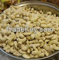 Dried Raw Cashew Nut in Shell