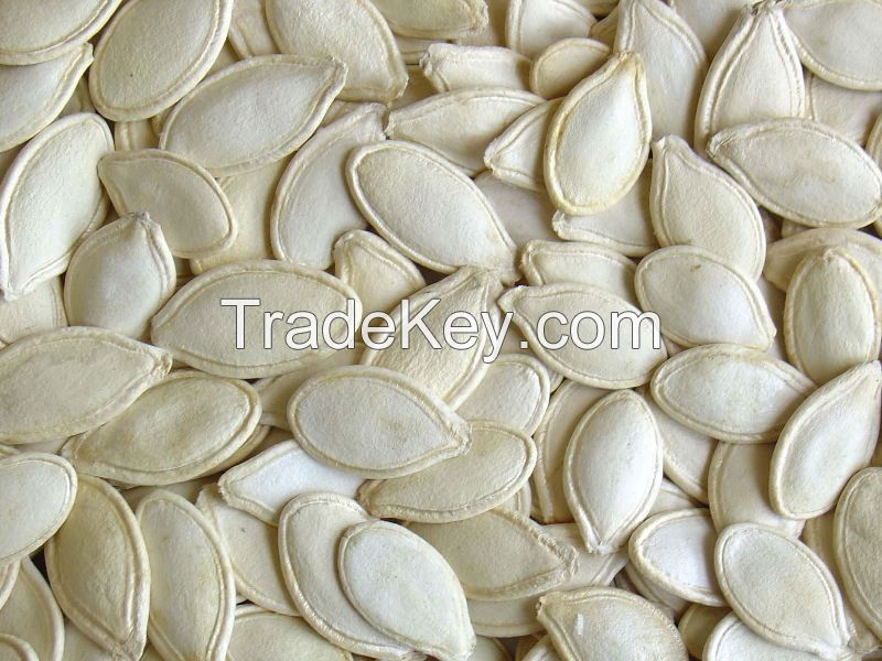 Pumpkin seeds shine skin in shell