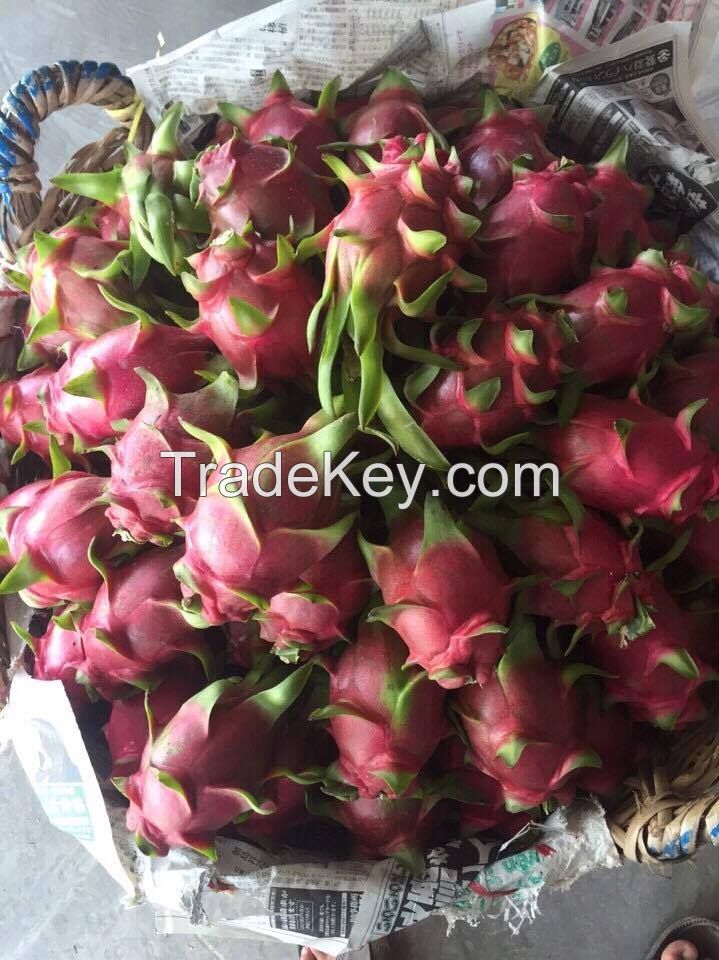 Fresh Dragon Fruit