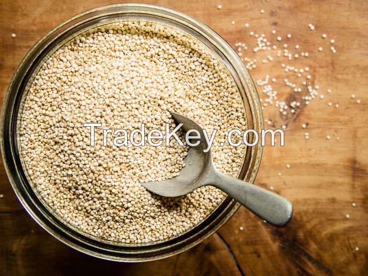 QUINOA FOR SALE