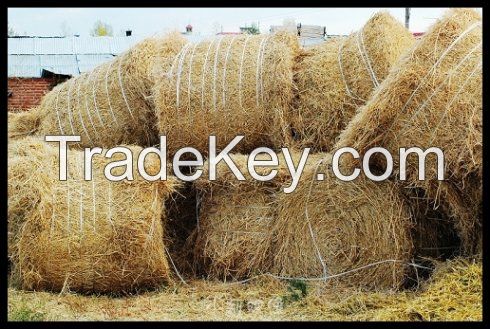 Natural Sisal Rope Twisted Braided use for Decking, Garden, farm