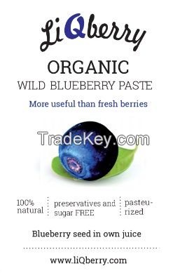 Organic Wild Blueberry Paste