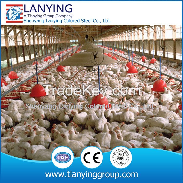 prefab turnkey preject steel structure chicken poultry farm 