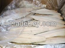 Sea Frozen Fishes - Pacific Mackerel / Pacific Jack Mackerel / Trachurus symmetricus / Californian Jack Mackerel / Jack Mackerel