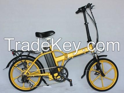 Foldable Electric Bicycle with TUV Certificate (JSL039X48)