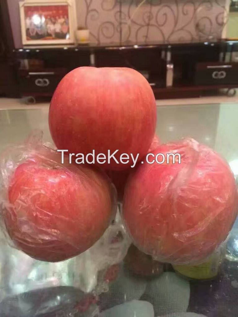 Fresh Ogranic Sweet Chinese Fuji Apples