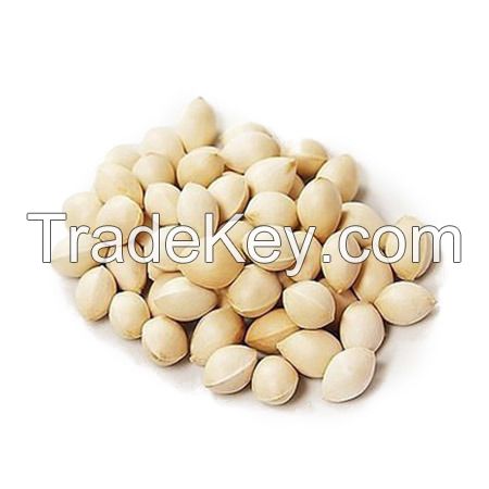 Best Quality Ginkgo Nuts