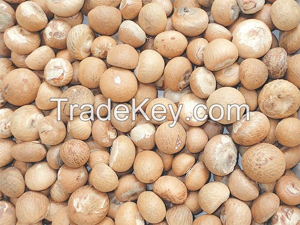 âBetel Nuts SPLIT 60-65% good cut, well dried