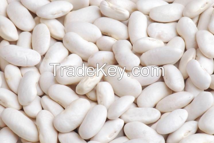 Light speckled kidney beans