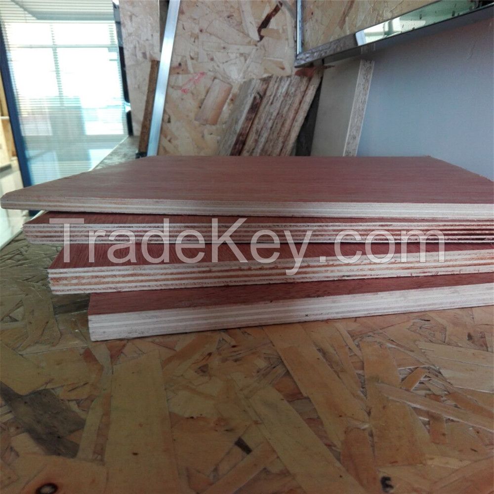 18mm phenolic, construction plywood made in China